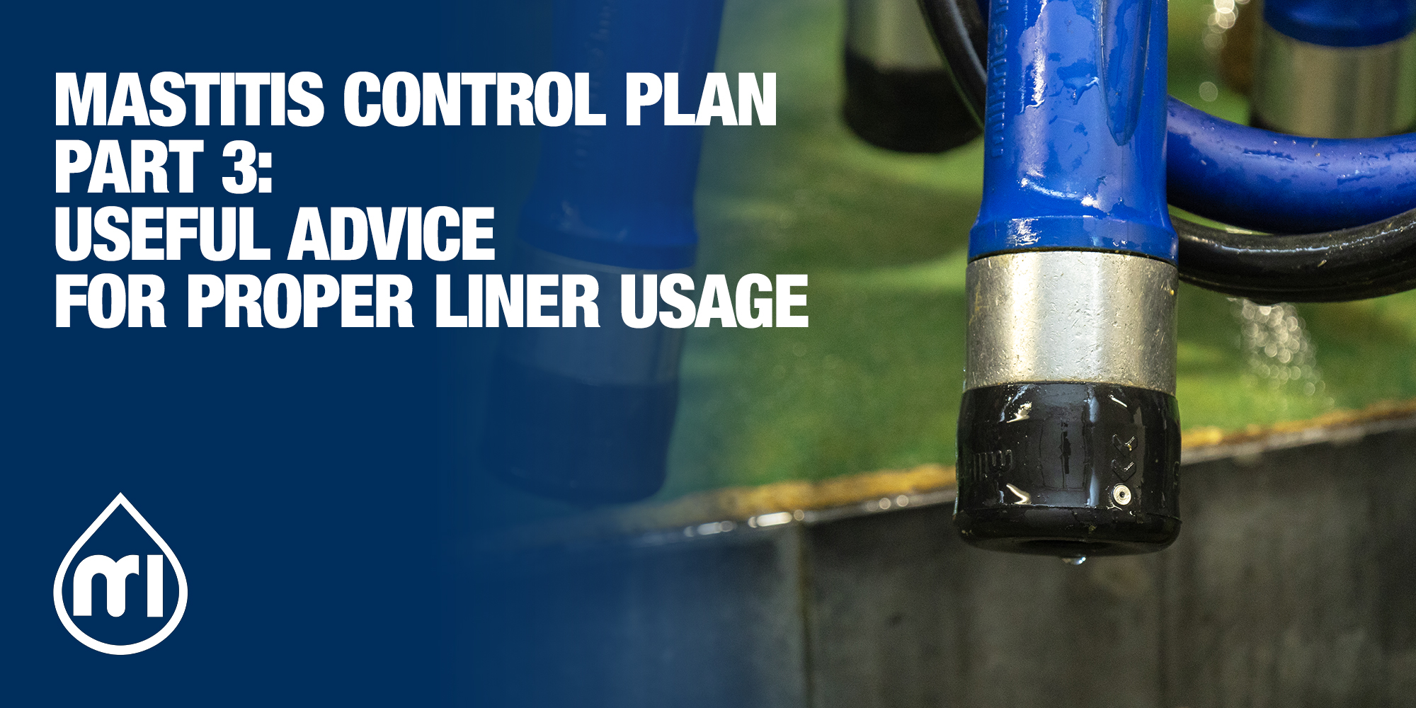 Mastitis Control Plan part 3: useful advice for proper liner usage