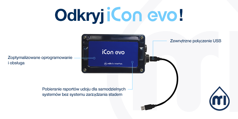 Icon Evo POL